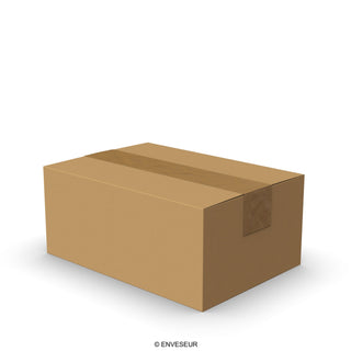 Caixas de papelão com abas para envio