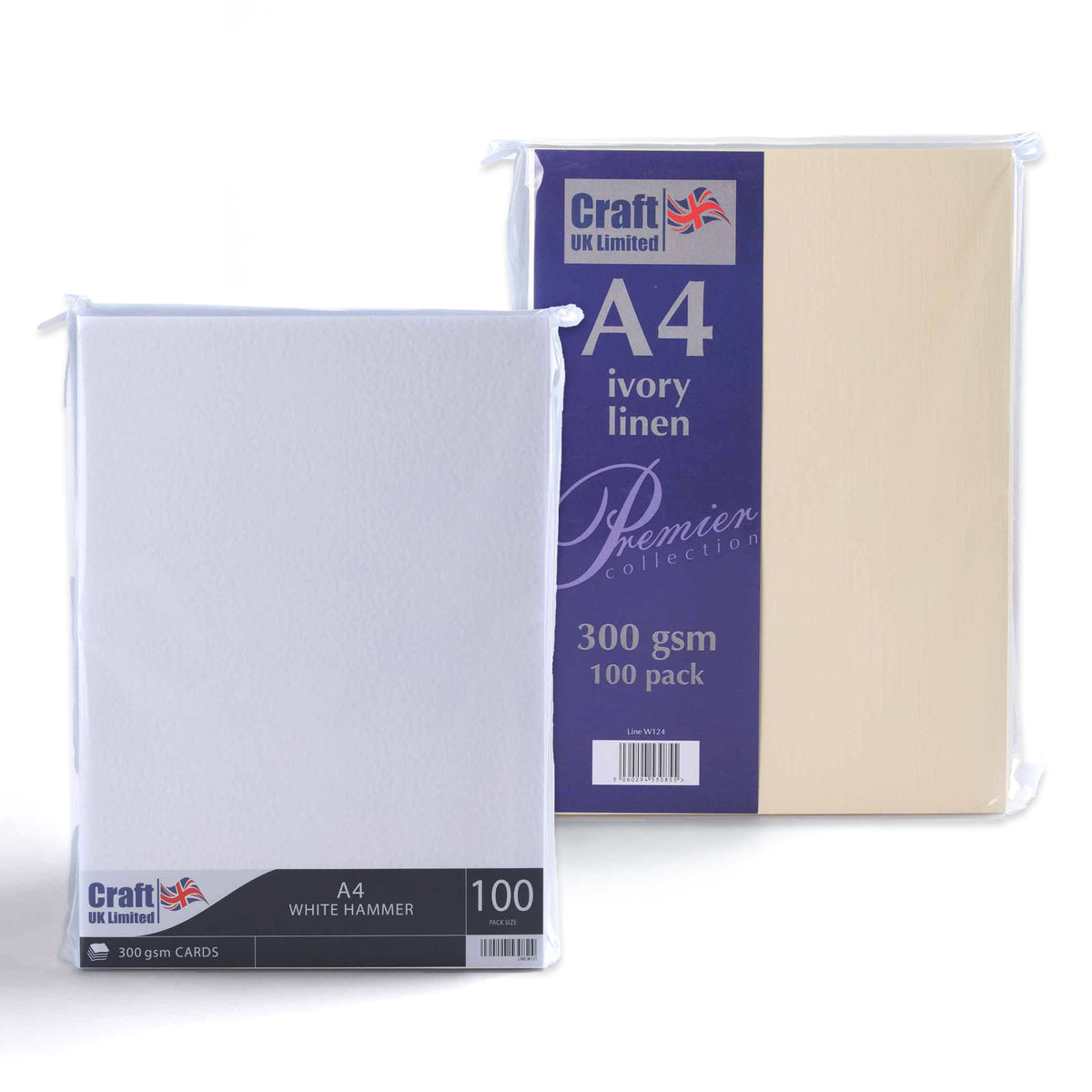 Cartão 300 g/m² pack de 100 unidades