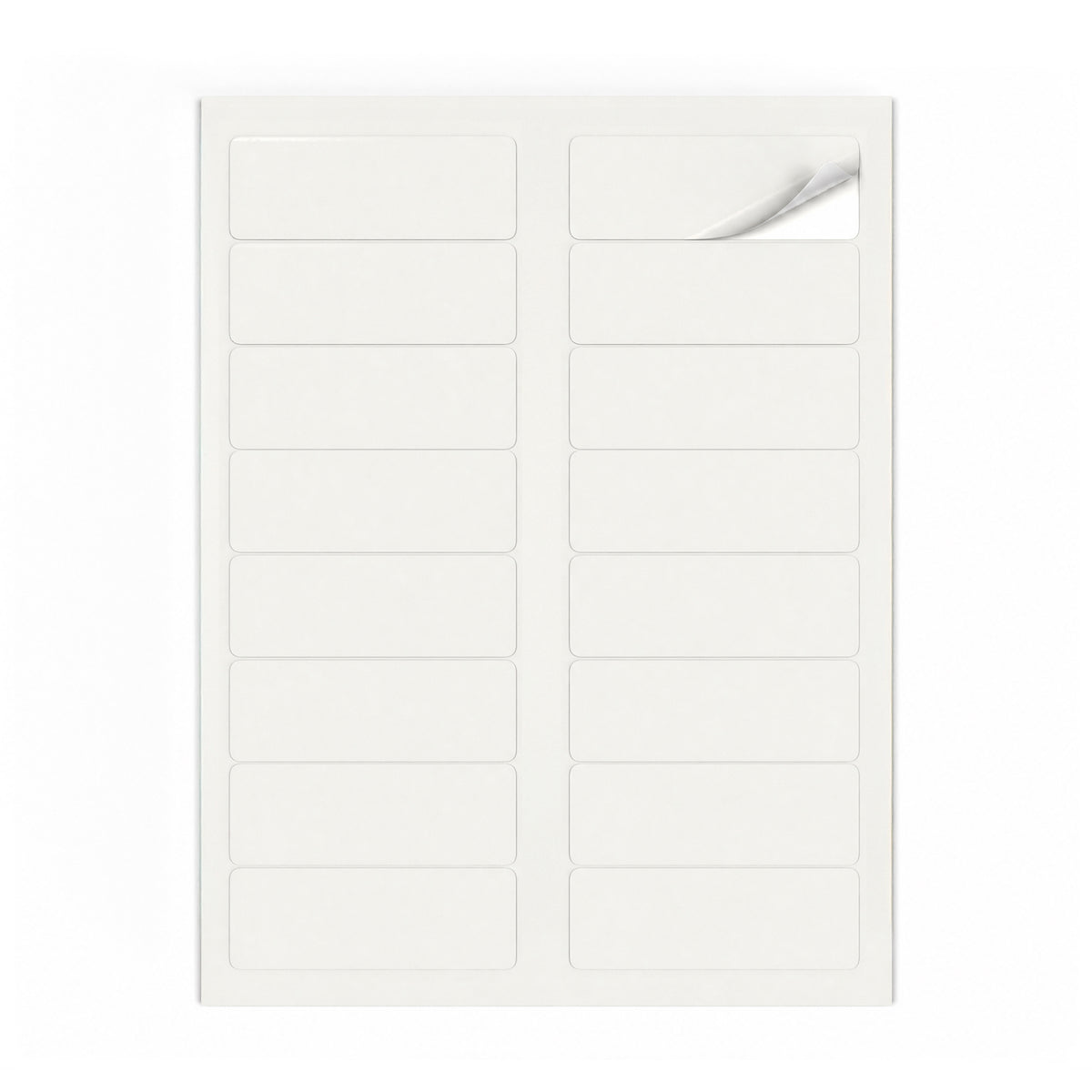 Packs de etiquetas brancas M - 100 folhas