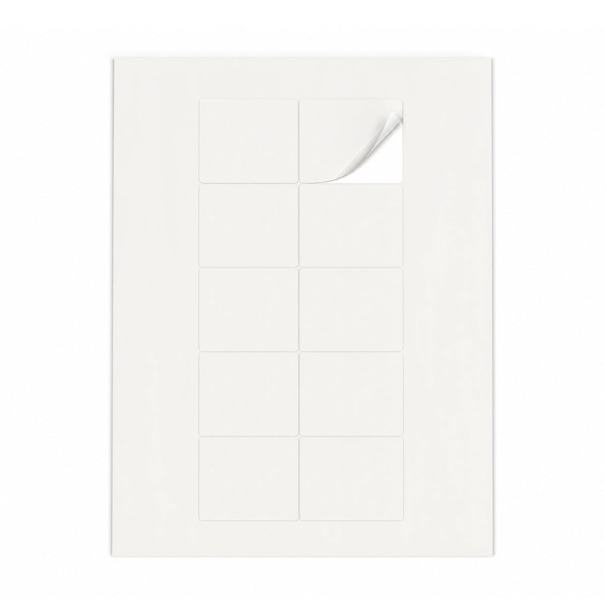 Packs de etiquetas brancas M - 100 folhas