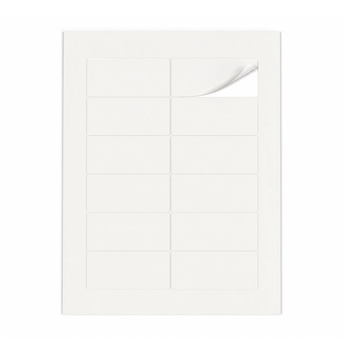 Packs de etiquetas brancas M - 100 folhas