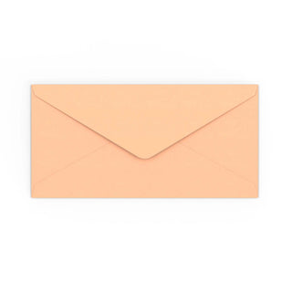 Envelope rosa salmão 110x220 mm (DL)