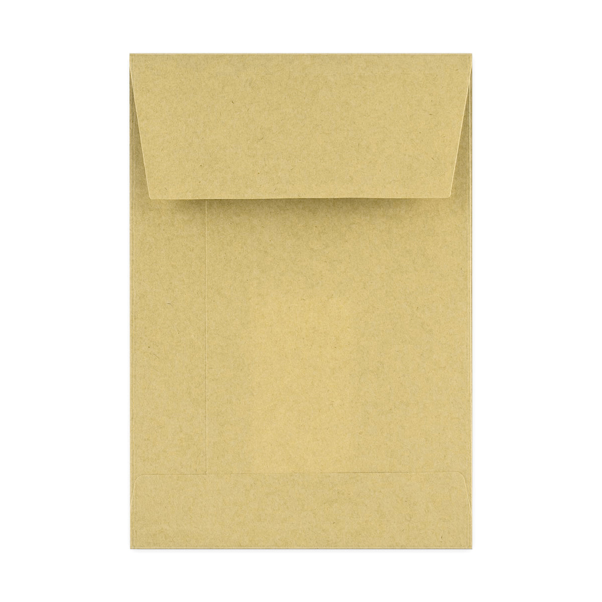 Envelope manila com reforço e janela 229x162x25 mm (C5)