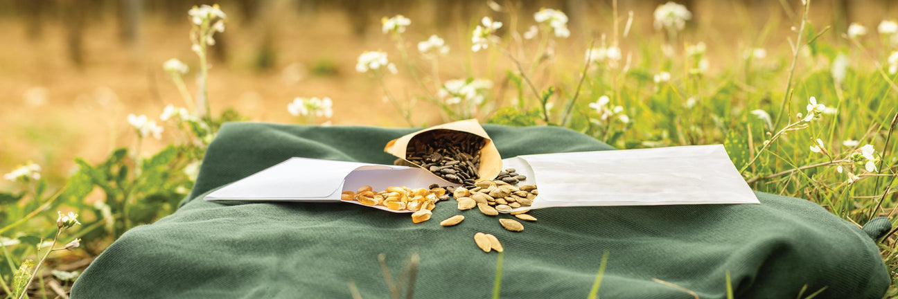 Envelopes para Sementes