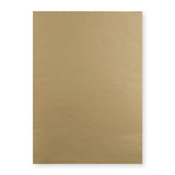 Envelope manila 450x324 mm (C3)