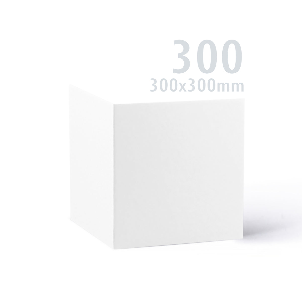 Cartão Premier branco 300x300 250 g/m² pack