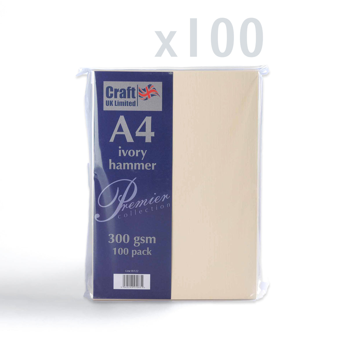Cartão 300 g/m² pack de 100 unidades