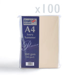 Cartão 300 g/m² pack de 100 unidades