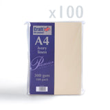 Cartão 300 g/m² pack de 100 unidades