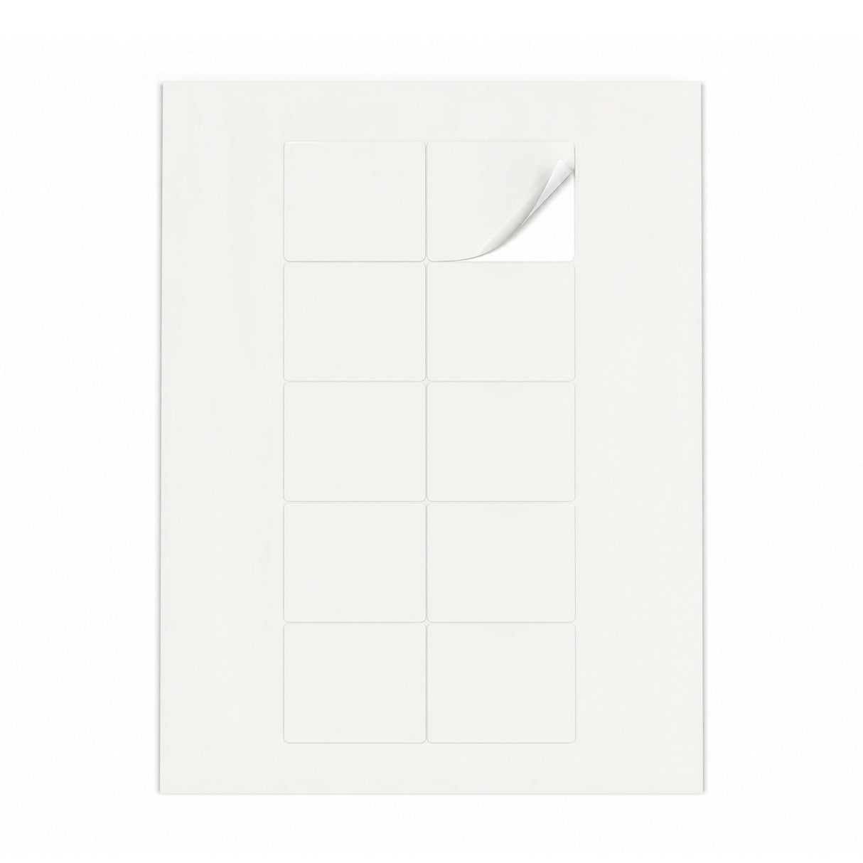 Packs de etiquetas brancas M - 100 folhas