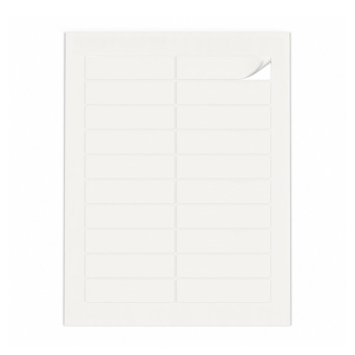 Packs de etiquetas brancas S - 100 folhas