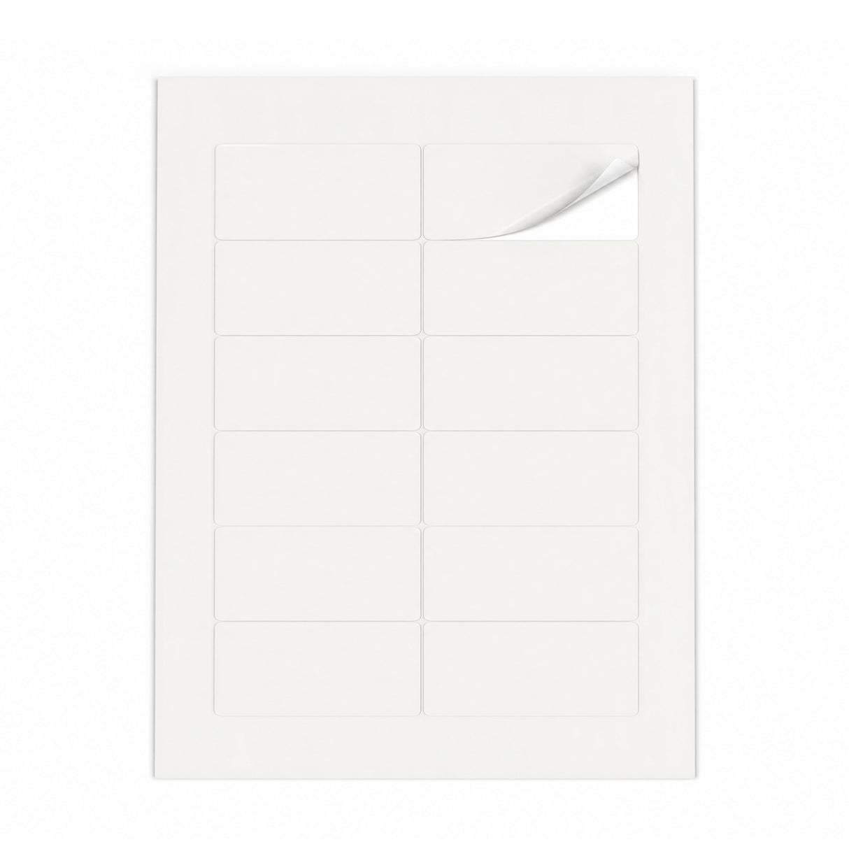 Packs de etiquetas brancas M - 100 folhas