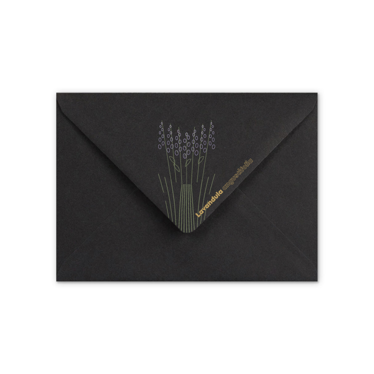 Envelope Motivo Lavanda