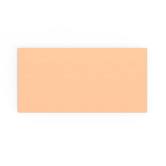 DL Salmon Pink Gummed V-Flap Envelope (110 x 220mm)