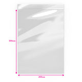 Saco de plástico transparente com fecho zip