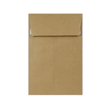 Envelope manila com reforço 220x110x25 mm (DL)