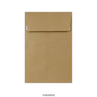 Envelope manila com reforço 220x110x25 mm (DL)