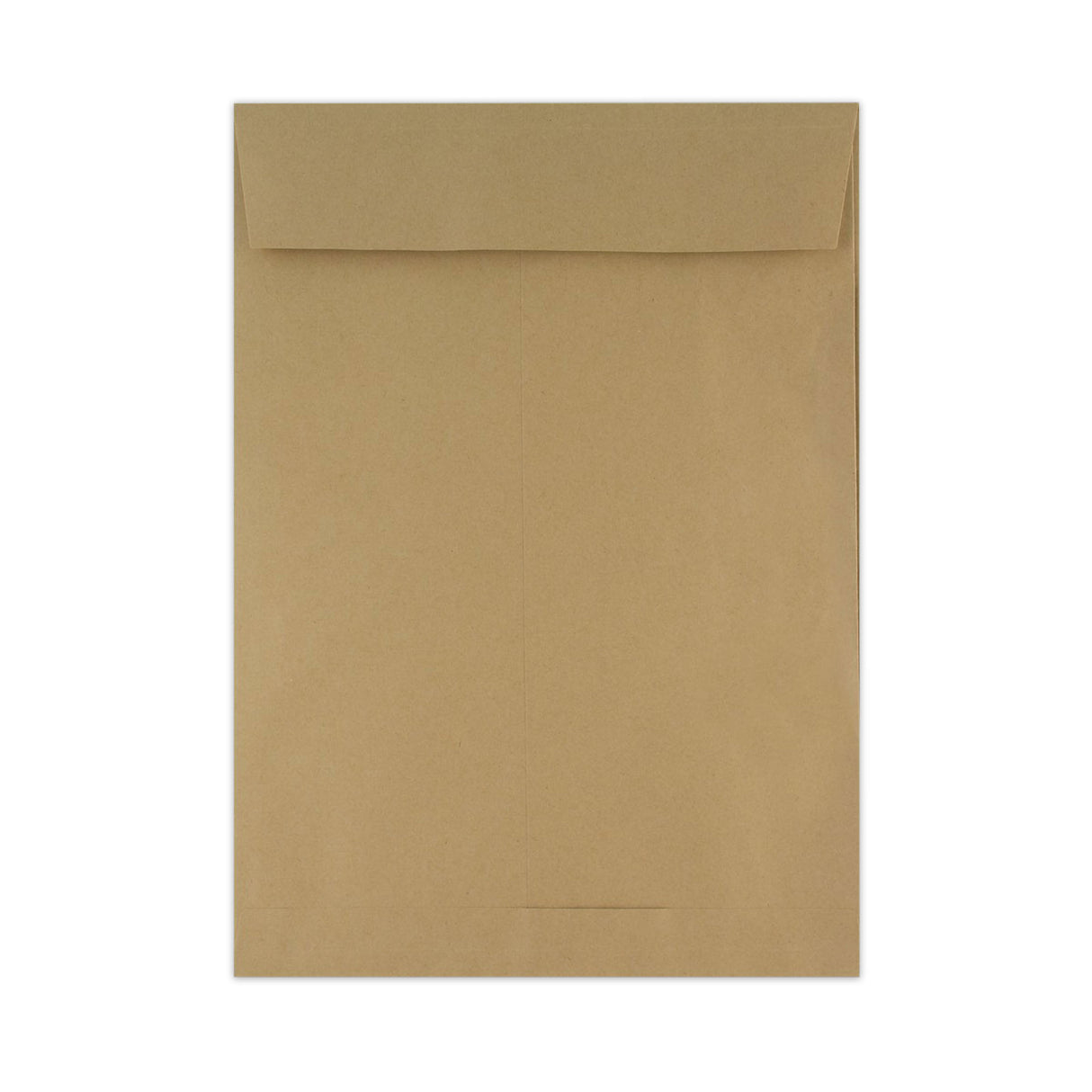 Envelope manila com reforço 220x110x25 mm (DL)