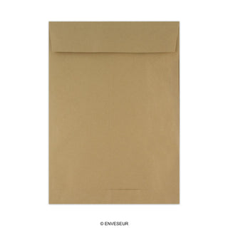 Envelope manila com reforço 220x110x25 mm (DL)