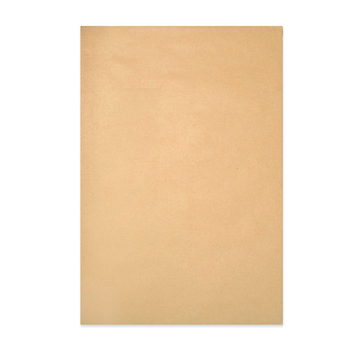 Envelope Manila com Cartolina ao Dorso 229X162 mm (C5)