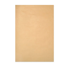 Envelope Manila com Cartolina ao Dorso 229X162 mm (C5)