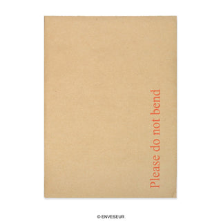 Envelope Manila com Cartolina ao Dorso - Impresso 229x162 mm (C5)