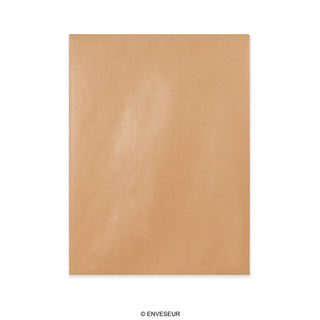 Envelope Manila com Cartolina ao Dorso 430x320 mm